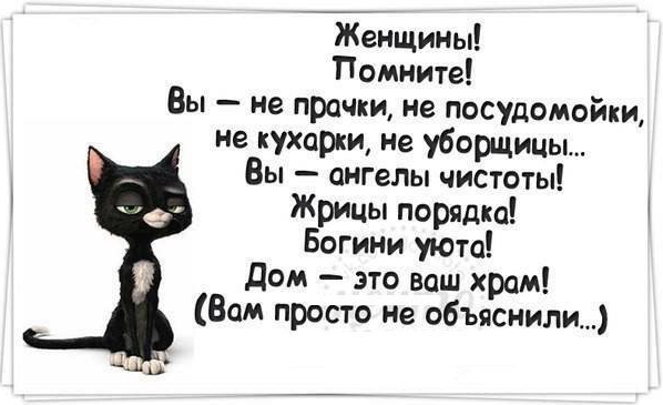 ,        - 