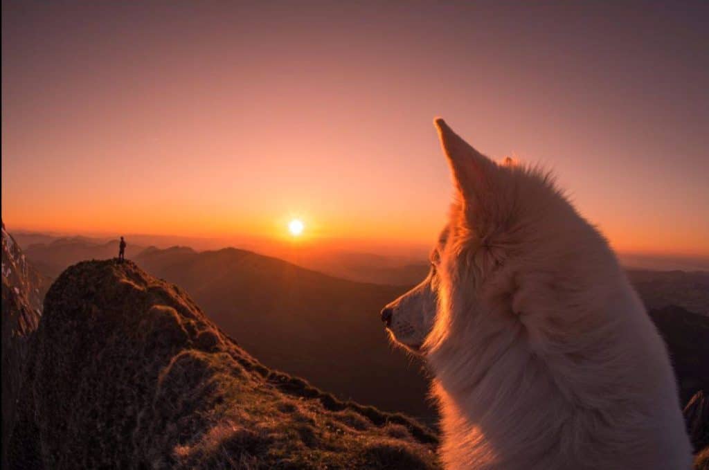 Уходя в закат