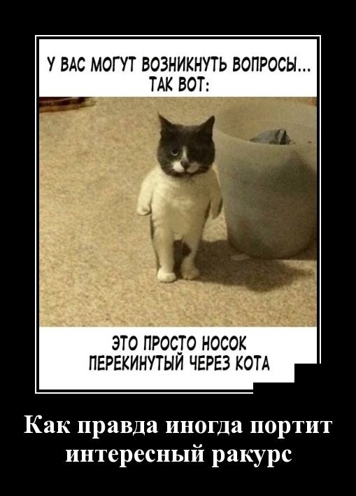 Демотиваторы на Среду 