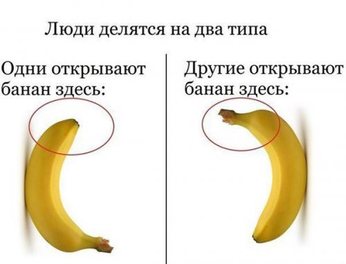 Интересные факты о бананах. Польза бананов: интересные факты о бананах