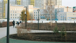 Будущий парк 300-летия Барнаула / Фото: amic.ru