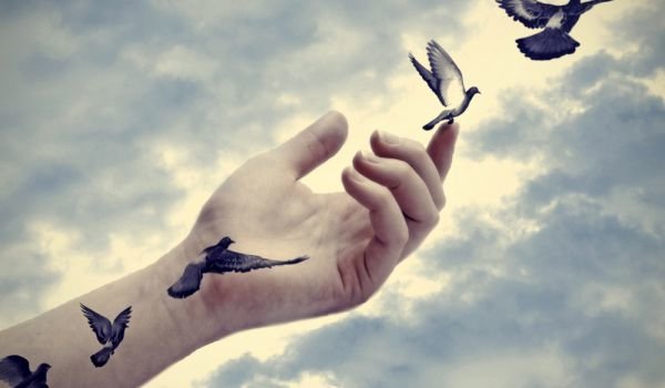 мечтаю тушенки