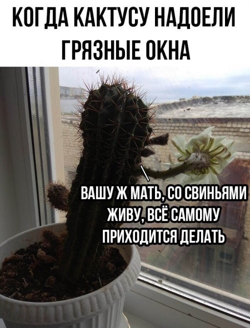 Подборка позитива в картинках на весь день! 