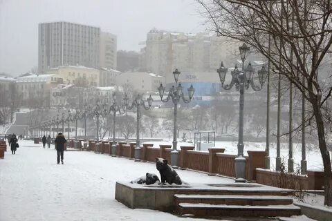 На прогулку по зимнему Владивостоку.