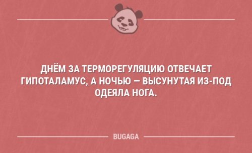 Анекдоты-свежинки Анекдоты-свежинки анекдоты