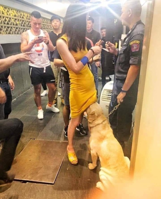 Подборка прикольных картинок  смешные картинки