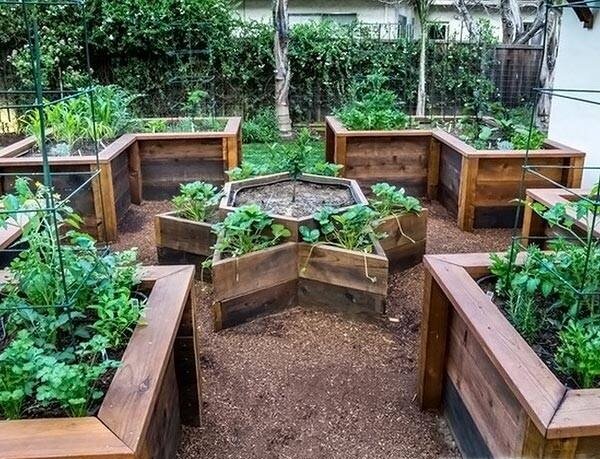 Как сделать грядки не как у всех. Удобные и практичные идеи Как сделать грядки не как у всех. Удобные и практичные идеи идеи,сделай сам,советы