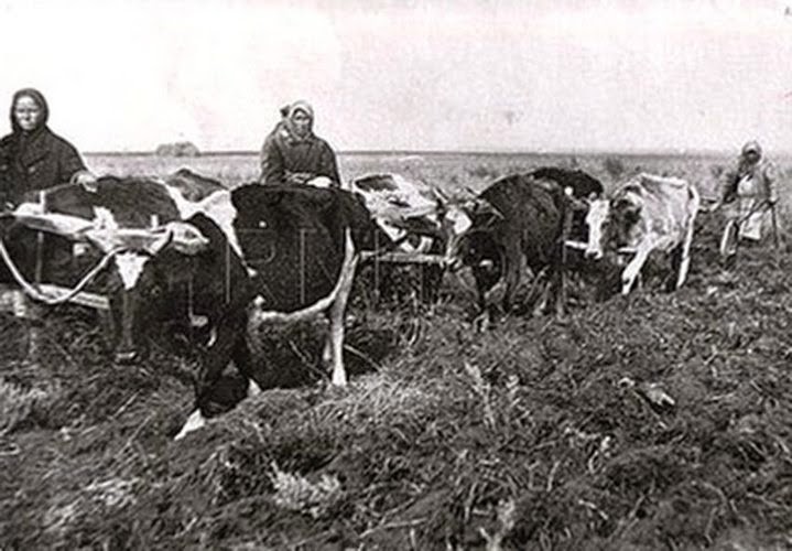 В годы Великой отечественной войны советский народ совершил великий подвиг не только на поле битвы война, история