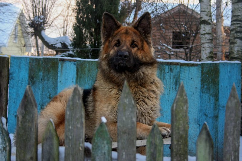 Город, в котором остановилось время Гатчина, Егерская слобода, город, фоторепортаж