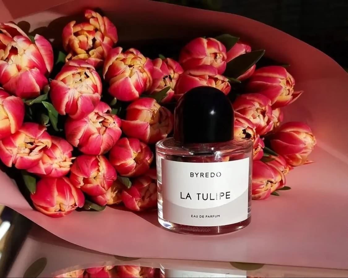 Screenshot_2025_07_31-24