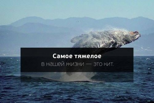 Несколько шуток для поддержания настроения Несколько шуток для поддержания настроения