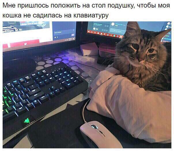 Позитивные картинки и фотографии Позитивные картинки и фотографии