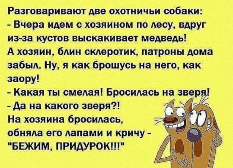 Смешные картинки анекдоты новые, картинки классические