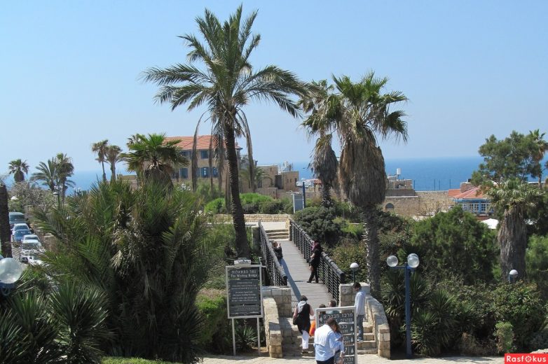 Израиль — страна-пустыня? Нет, страна-сад! Израиль — страна-пустыня? Нет, страна-сад!