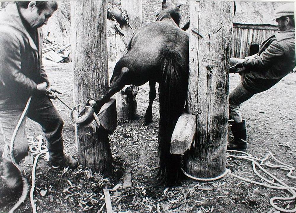 Запрещенные снимки культового литовского фотографа Витаса Луцкуса Запрещенные снимки культового литовского фотографа Витаса Луцкуса