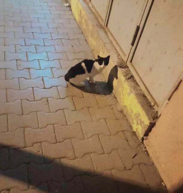 17 оптических иллюзий для того, чтобы мозг запутать раз и навсегда 17 оптических иллюзий для того, чтобы мозг запутать раз и навсегда