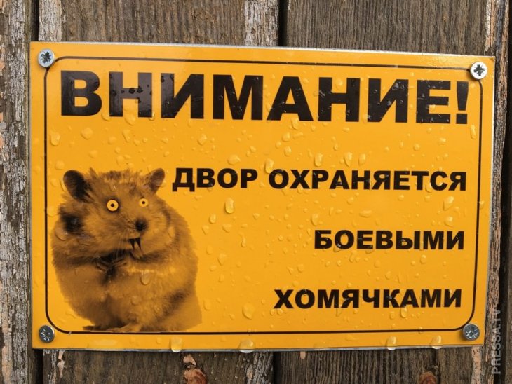 Забавная реклама и объявления Забавная реклама и объявления юмор