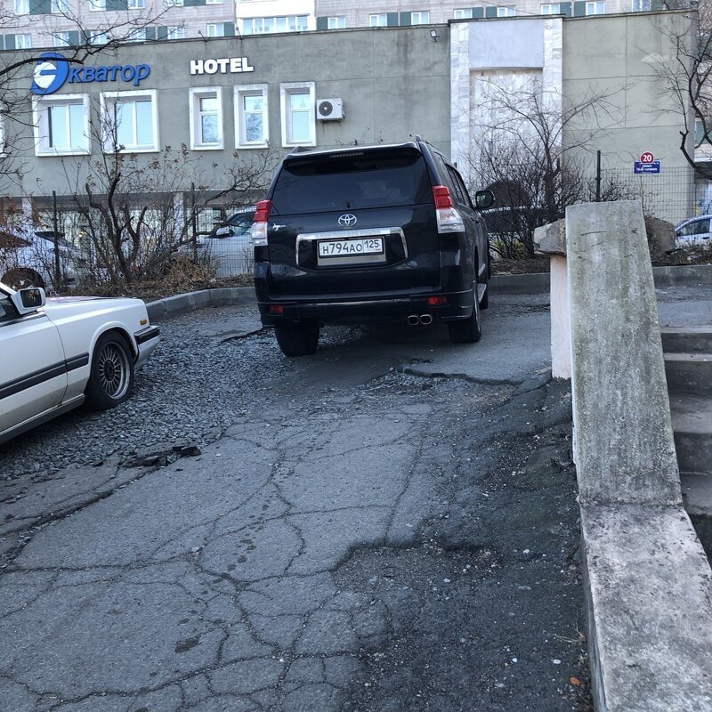 Вот хозяева двора, в голове у них дрова Вот хозяева двора, в голове у них дрова