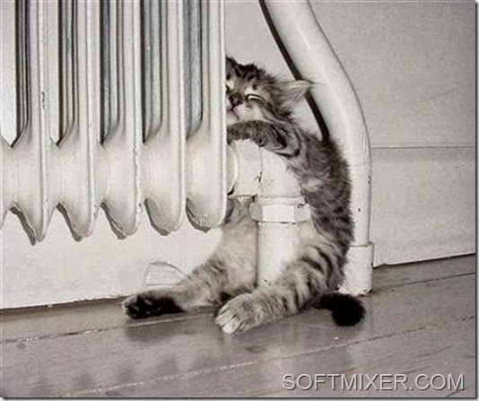 88912987_large_564951