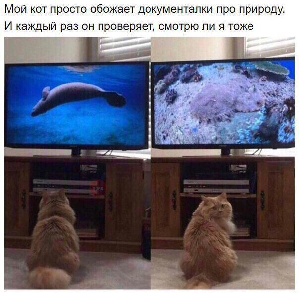 Позитивные картинки и фотографии Позитивные картинки и фотографии