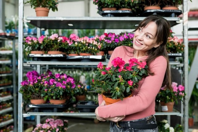 7 капризных комнатных растений, которые красивы только в цветочном магазине
