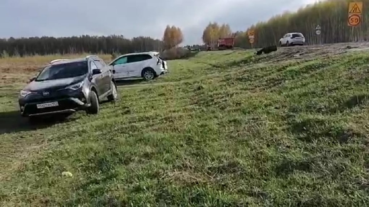 ДТП с участием рейсового автобуса произошло в Богородском районе