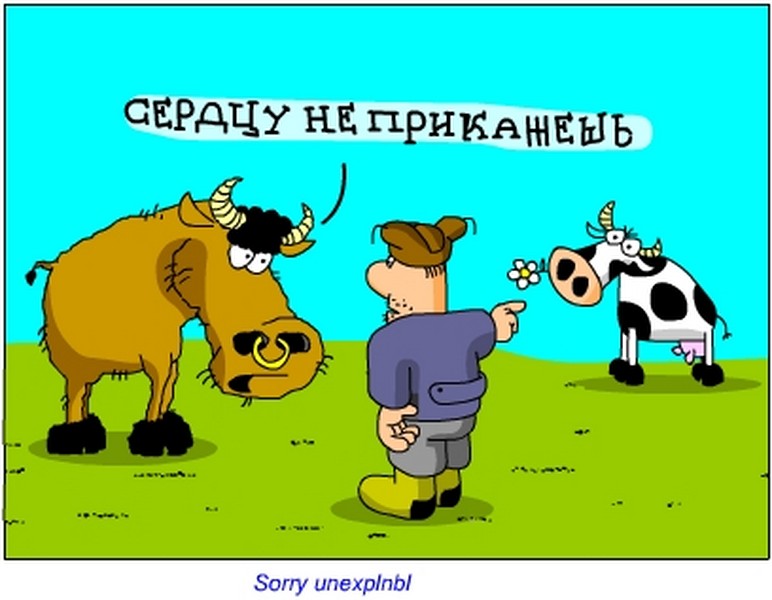 Открытки прикольные смешные про корову, картинки камина