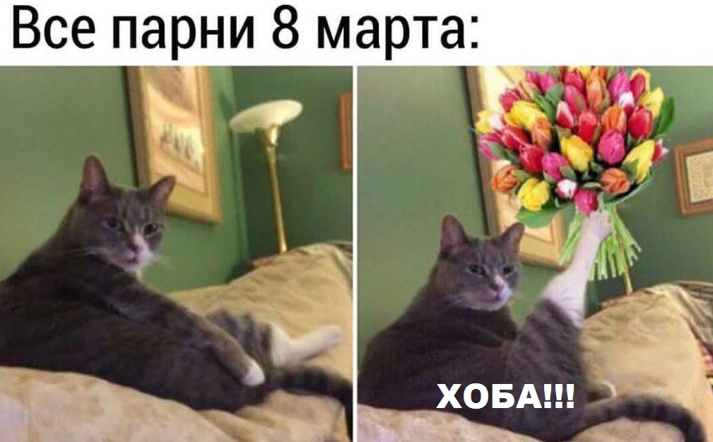 Подборочка для мужчин Чтобы, искать, Интернете , поздравилки , любимым , подборочка, картиночек