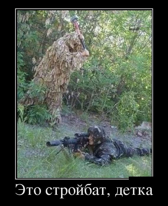 Прикольные вечерние демотиваторы для улыбки и хорошего настроения 