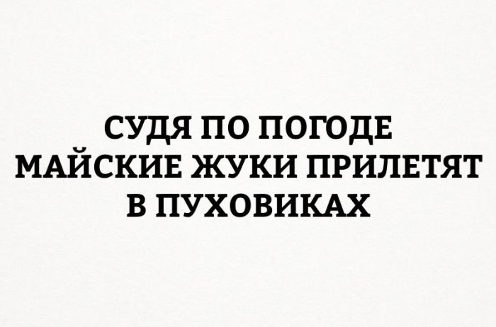Подборка картинок. Дневной выпуск (54 фото)