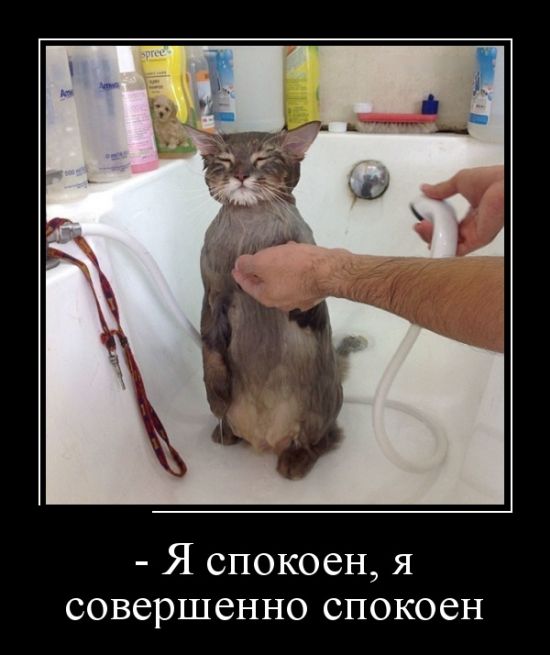 Демотиваторы для всех: «Если вам надоело быть хозяином у себя дома…» Демотиваторы для всех: «Если вам надоело быть хозяином у себя дома…»