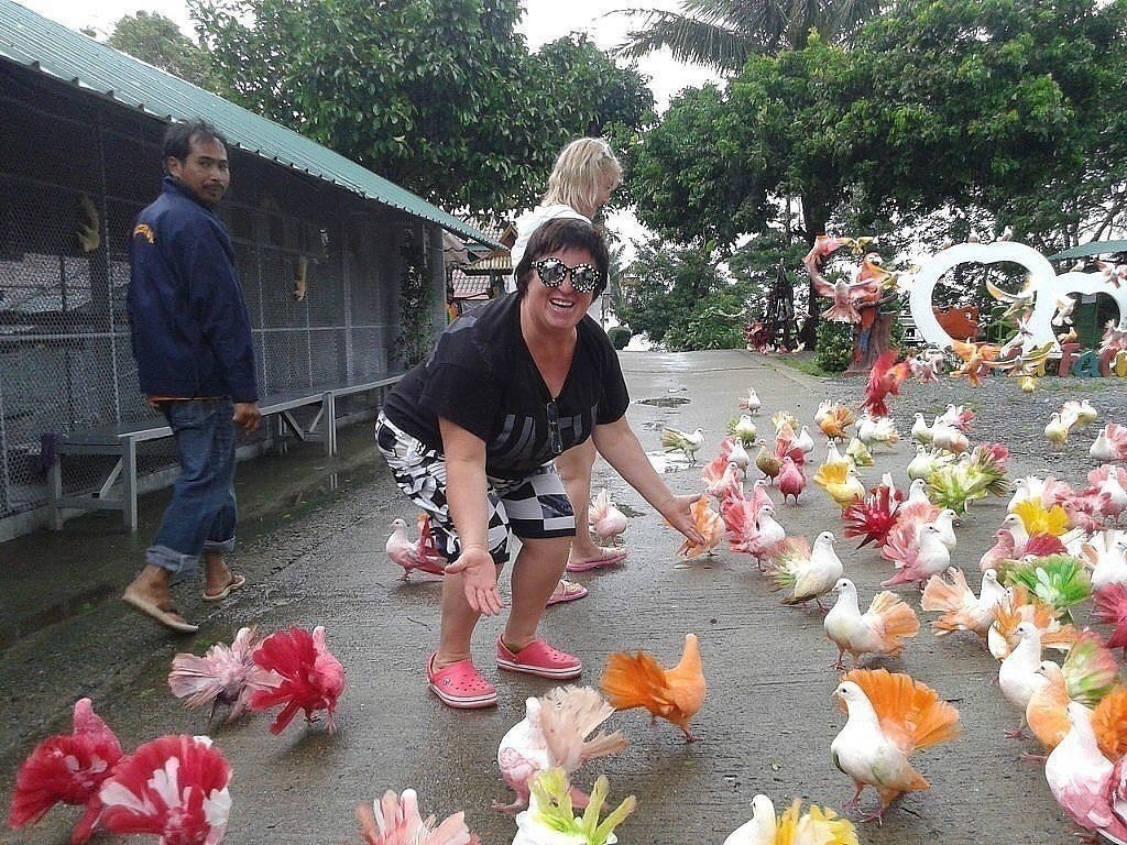 Прикольные и классные картинки из нашей жизни 