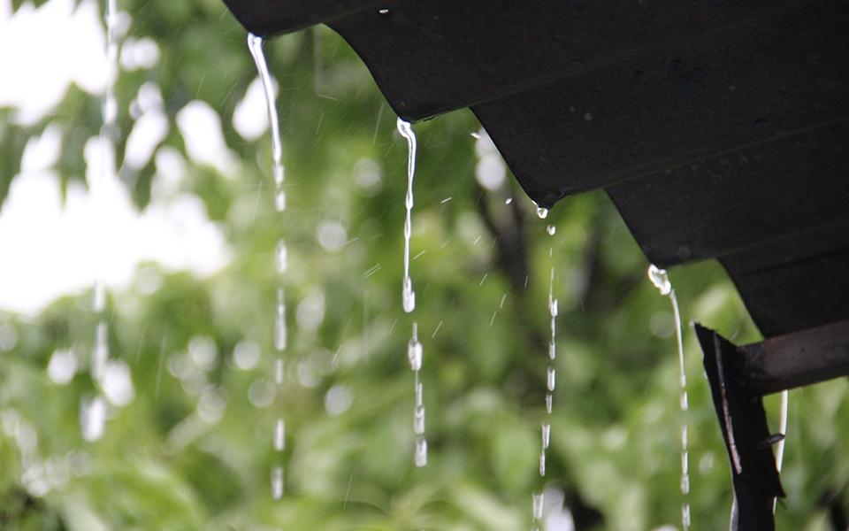 4 августа на территории Рязанской области ожидаются кратковременные дожди