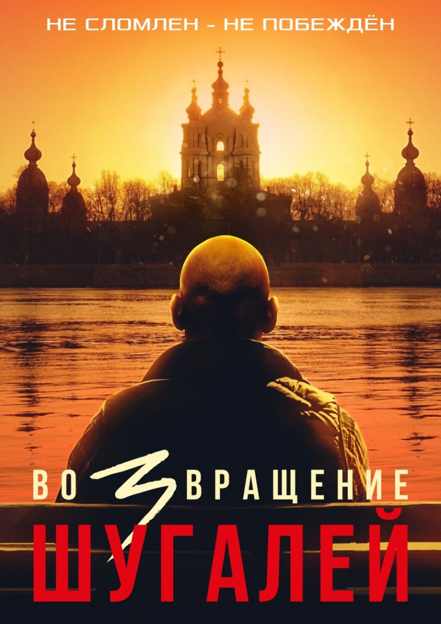 Глава ФЗНЦ показал постер возможной третьей части фильма Шугалей