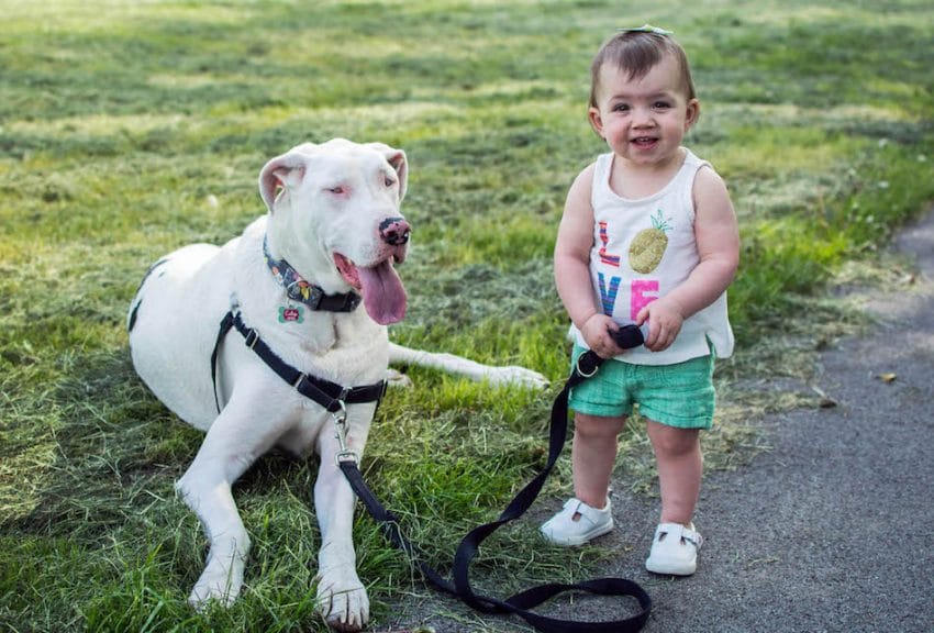 CATERS_DEAF_DOG_AND_FRIEND_15-850x576