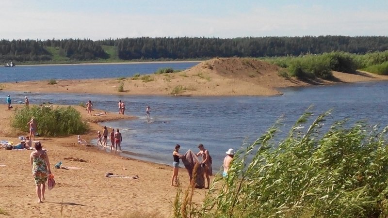 Девочка спасла тонувших детей на Белгородчине, но отказалась от денег и не получила медали