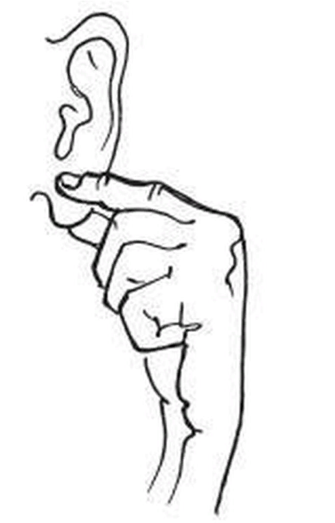 Гимнастика фараонов: упражнения, которые стоит делать сразу после пробуждения здоровье,упражнения