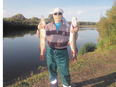 Фото: Павел Елизаров.
