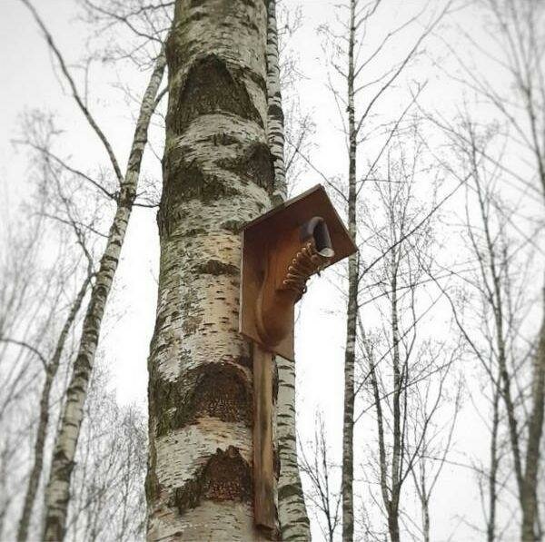 Двадцать человек, которые сделали невозможное