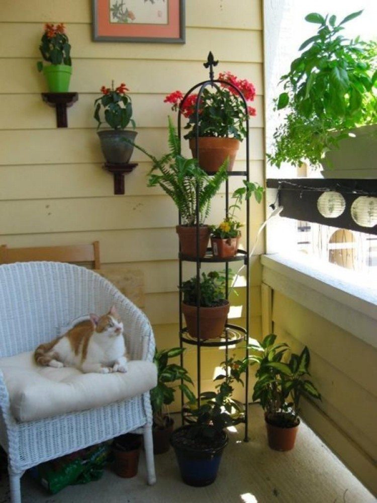 ÐšÐ°Ñ€Ñ‚Ð¸Ð½ÐºÐ¸ Ð¿Ð¾ Ð·Ð°Ð¿Ñ€Ð¾ÑÑƒ small balcony garden ideas