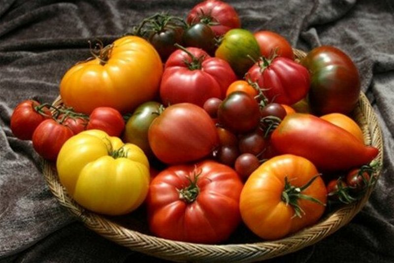 Топ-10 целебных свойств томатов