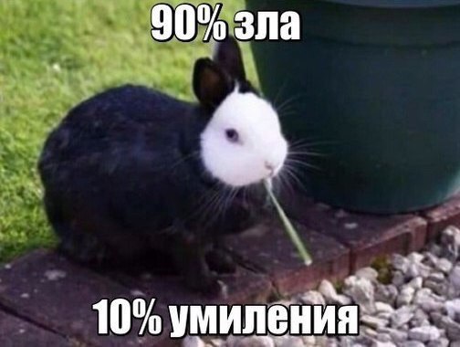 Веселые, позитивные и смешные картинки с надписями из нашей жизни Веселые, позитивные и смешные картинки с надписями из нашей жизни картинки с надписями,приколы,смешные комментарии