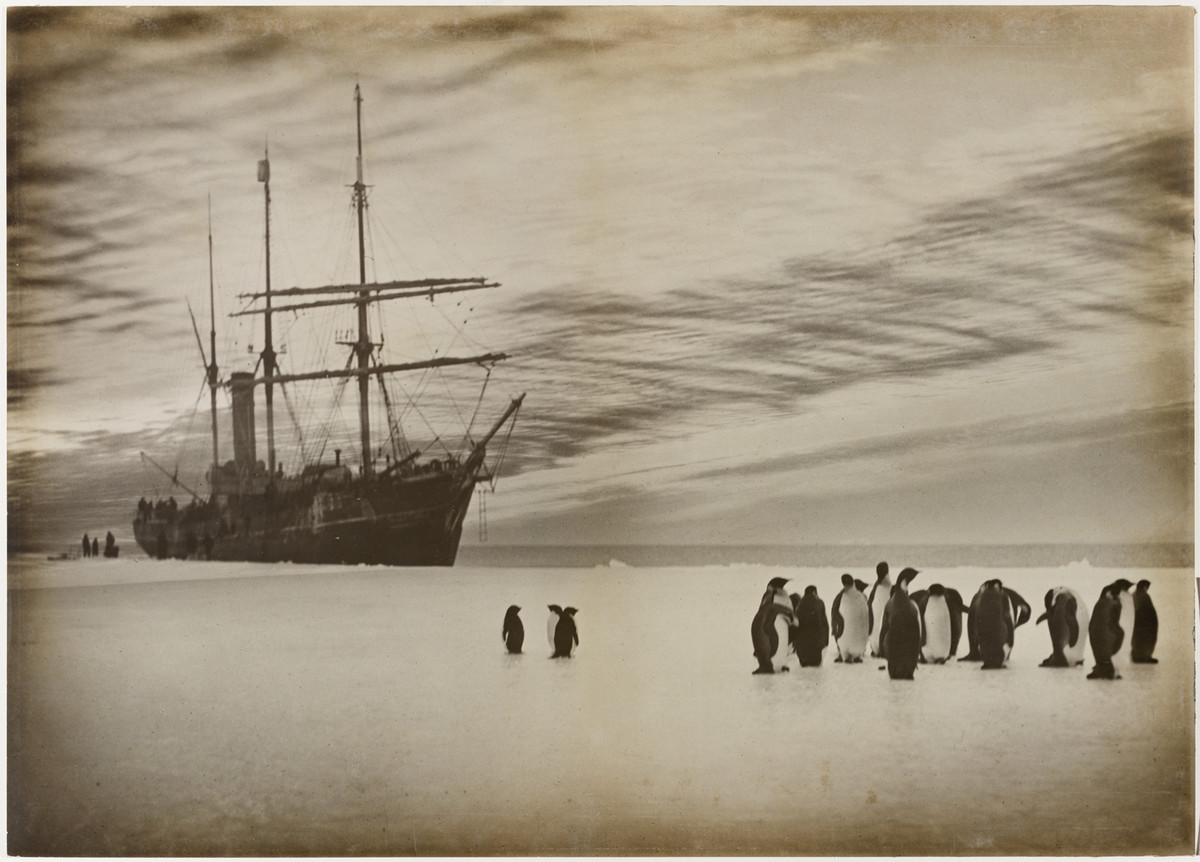 Первая Австралийская антарктическая экспедиция в фотографиях Фрэнка Хёрли 1911-1914 16