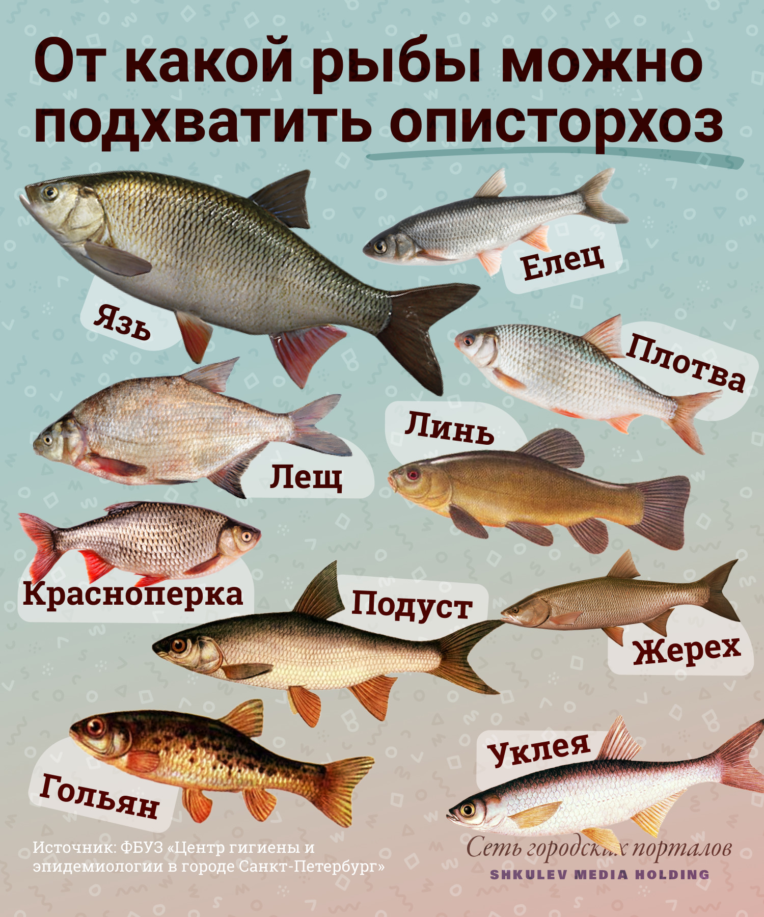 Названия красной рыбы список с фото