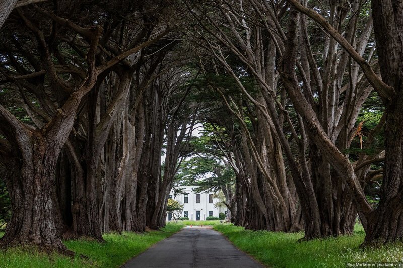 Как американцы любят природу. Путевые заметки заграница,поездка,путешествие,страны,туризм