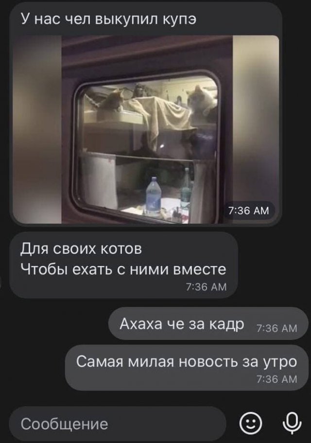 Смешные переписки