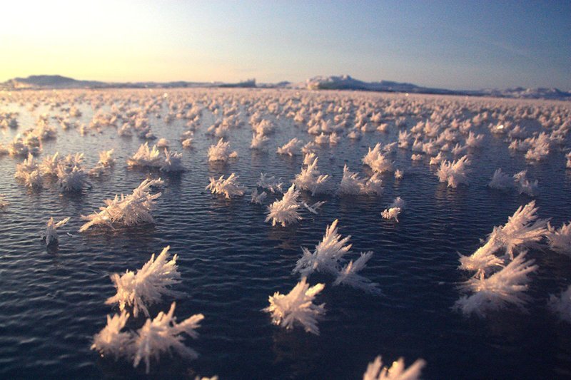 Ледяные кристаллы природа, природные явления, удивительная природа