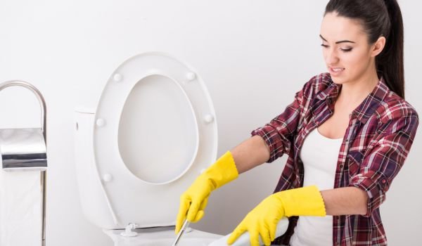 Домашние средства для очистки и дезинфекции унитаза