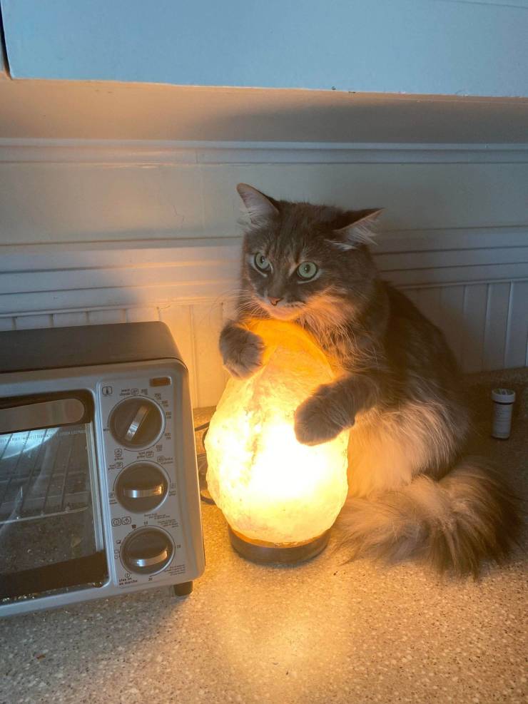 Подборка прикольных картинок  приколы,смешные картинки,юмор