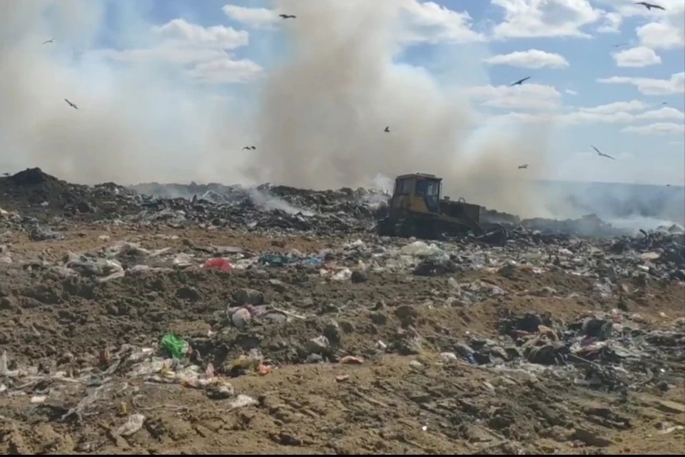 Пожар на мусорном полигоне в Новосибирске отнесли к экологическим преступлениям